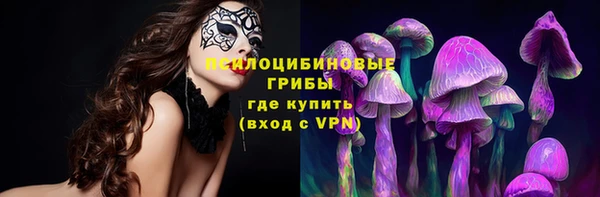 эйфоретик Алзамай