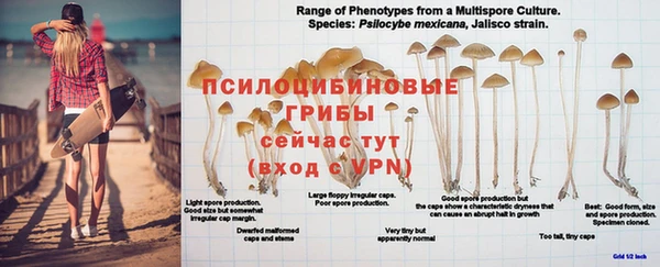 спайс Алексеевка