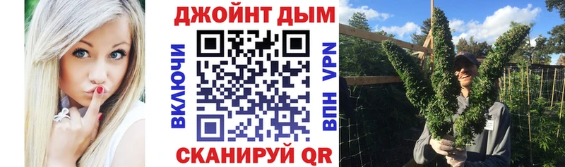 ОМГ ОМГ онион  купить наркоту  Островной  сайты даркнета состав  Бошки Шишки планчик 